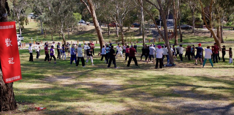 Free Park Sessions
