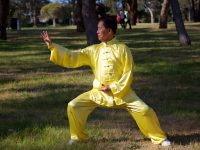 2026 March Qigong Master Class