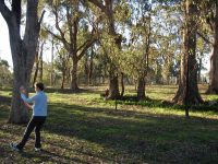 Early Morning Tai Chi, or ‘Pyjama Qigong’