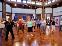 Beginner Classes