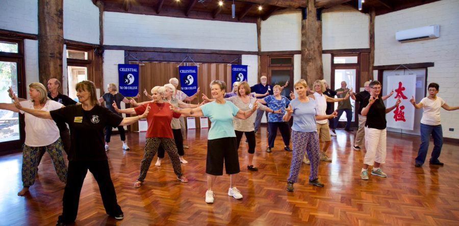 Beginner Classes