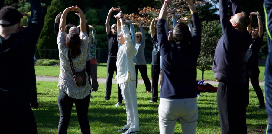 ‘SUBSTANCE’ in Yang Style Tai Chi