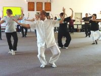 2017 The Great Dance with SM Chin Min