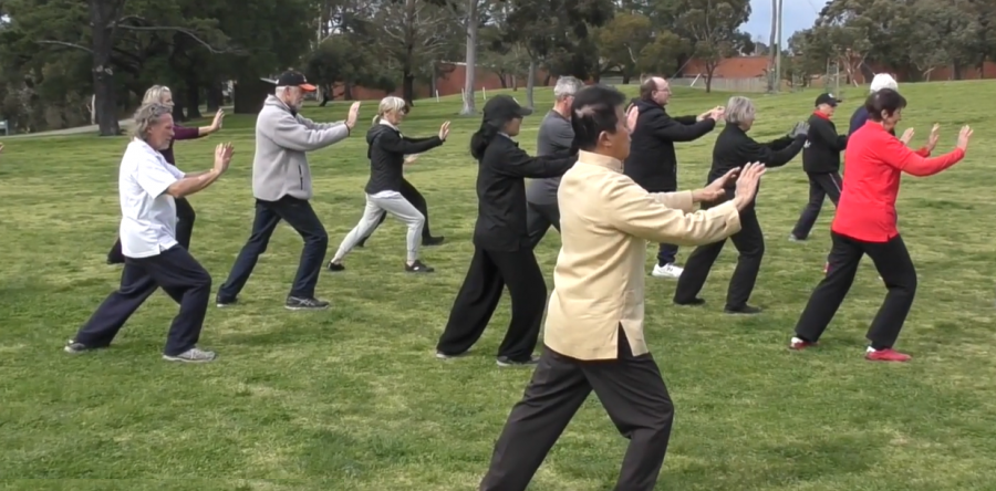 Park Lessons with the Masters