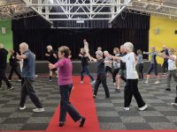 2025 Qigong Master Class with Senior Master Chin Min Lian