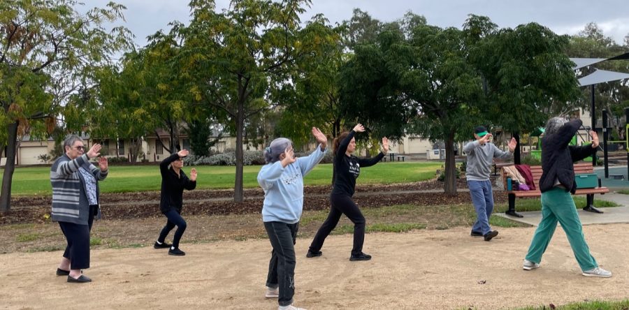Tai Chi at Hoppers Crossing