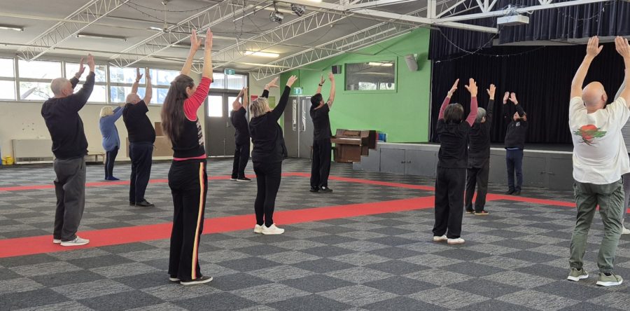 2025 August Qigong Master Class